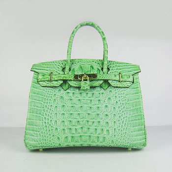 Hermes Birkin 30Cm Crocodile Head Stripe Handbags Green Gold
